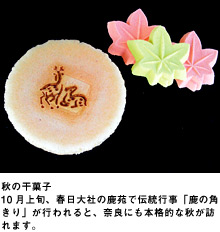 秋の干菓子