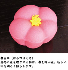 春告草（はるつげくさ）