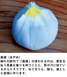菖蒲（あやめ）