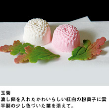 玉菊