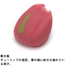 春の風