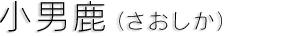 小男鹿